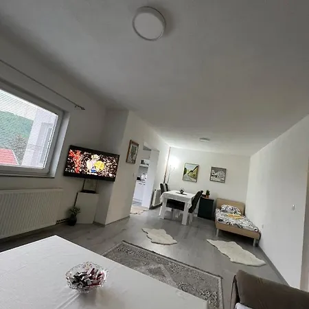 Apartamento Royal Sa Garazom I Klimom Visoko