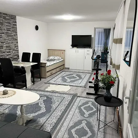 Royal Sa Garazom I Klimom شقة فيسوكو